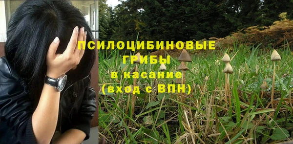 синтетический гашиш Заводоуковск